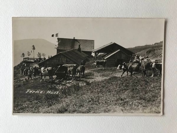 Productafbeelding 2 cartes ferme Hüss.