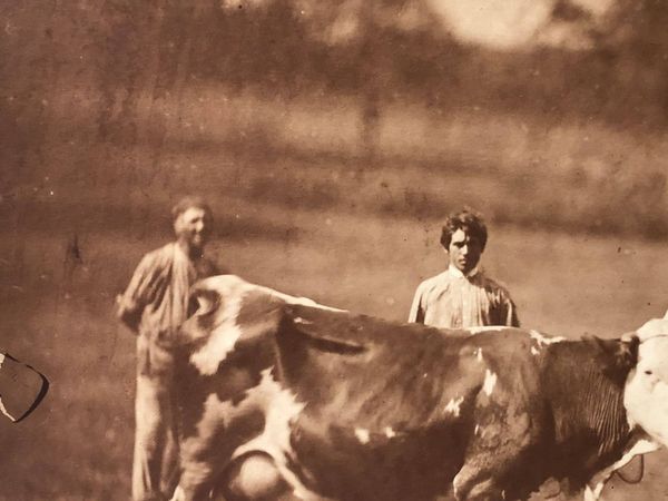 Product image Adolphe Braun. Les animaux de la ferme.
