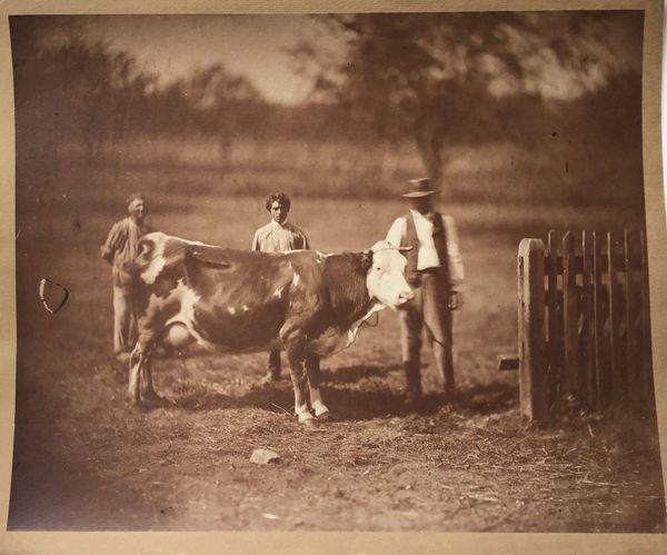 Product image Adolphe Braun. Les animaux de la ferme.