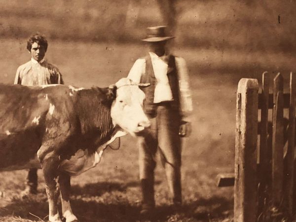 Product image Adolphe Braun. Les animaux de la ferme.