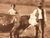 Product Adolphe Braun. Les animaux de la ferme. thumbnail