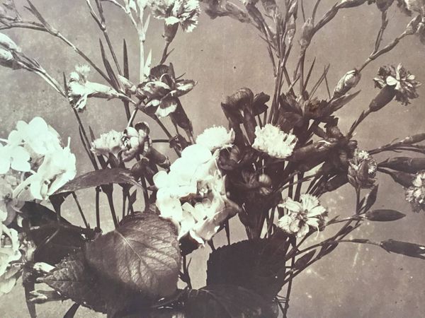 Product image Adolphe Braun. Les fleurs photographiées.