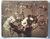 Product Adolphe Braun. Les fleurs photographiées. thumbnail