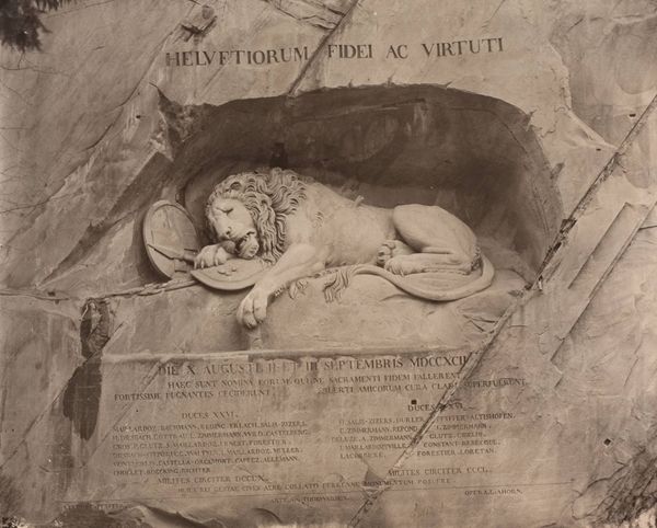 Productafbeelding Adolphe Braun. Lucerne, le lion.