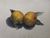 Product Agrumes. Gouache originale. thumbnail