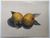 Product Agrumes. Gouache originale. thumbnail