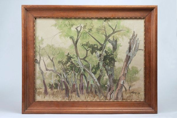 Product image Alberto Solbach. Grande Aquarelle. Arbres tourmentés.