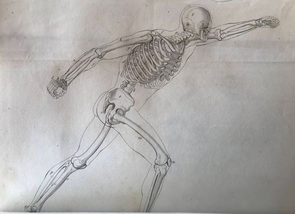 Productafbeelding Alexandre Baudet-Dulary. Essai sur les harmonies physiologiques.