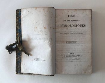 Illustration du produit