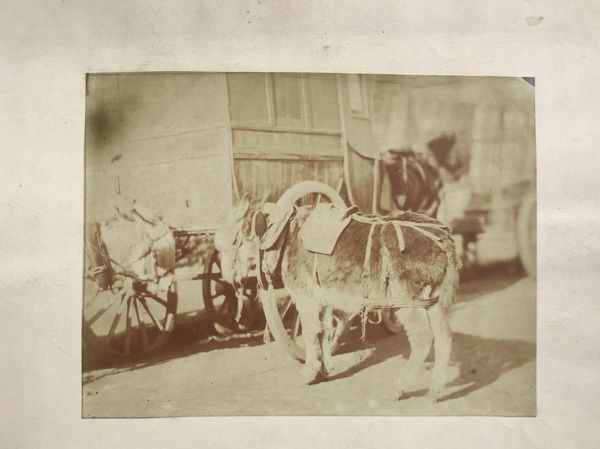 Produktbild Ane et fiacre. Photographie primitive d'après nature.