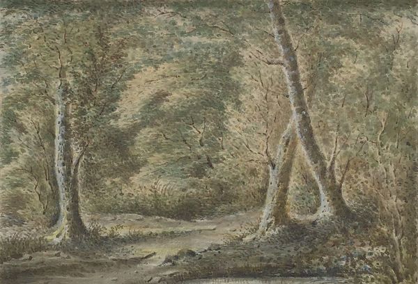 Produktbild Aquarelle. Intérieur bois. 1874.