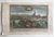 Miniature du produit Argentoratum. Strassburg. Martin Engelbrecht.