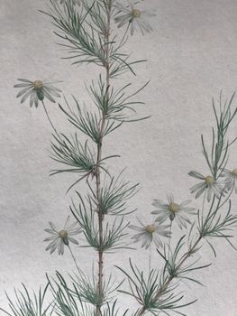 Illustration du produit
