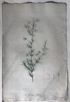 Illustration du produit