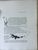 Produktminiatur Au front d'Alsace. Vieil Armand. 1916.