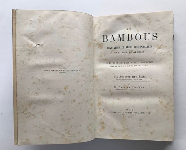 Productafbeelding Auguste et Charles Rivière. Les Bambous.