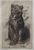 Miniature du produit Auguste Lançon. Lionne. Sénégal.