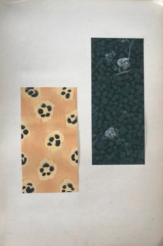 Illustration du produit