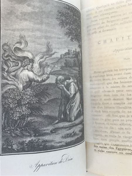 Productafbeelding Bible illustrée par Derôme.