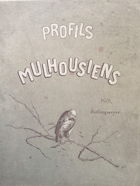 Productafbeelding Bidlingmeyer. Profils mulhousiens.