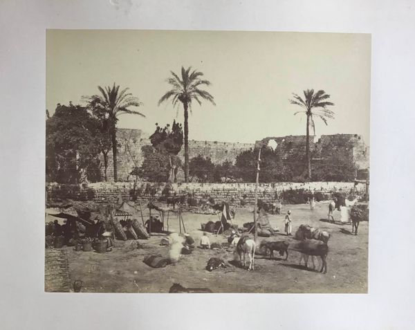 Product image Bonfils. Marché en Egypte.