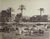 Product Bonfils. Marché en Egypte. thumbnail
