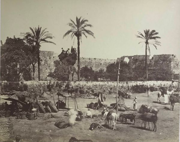 Product image Bonfils. Marché en Egypte.