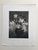 Product Bouquet de jonquilles. Charles Gutknecht. thumbnail