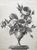 Product Bouquet de roses. Dessin néoclassique. Vers 1820. miniatuur
