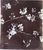Product Branches de cerisier. Albumine. thumbnail