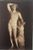 Miniature du produit Braun. Apollon Lycien.