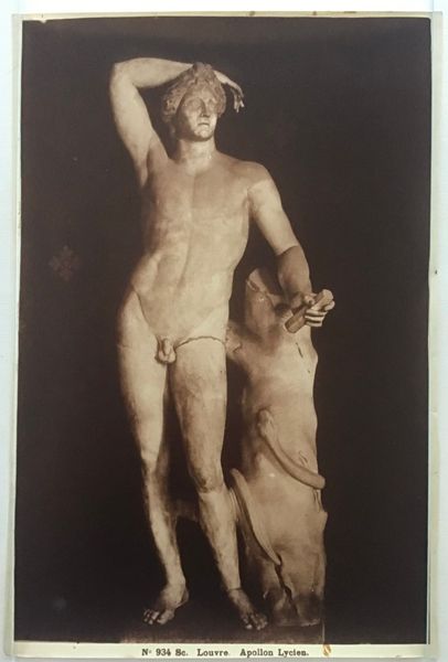 Image du produit Braun. Apollon Lycien.