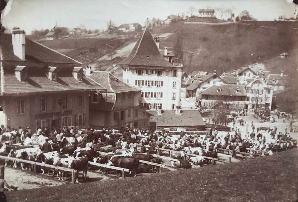 Produktbild Braun. Berne, le marché aux animaux.