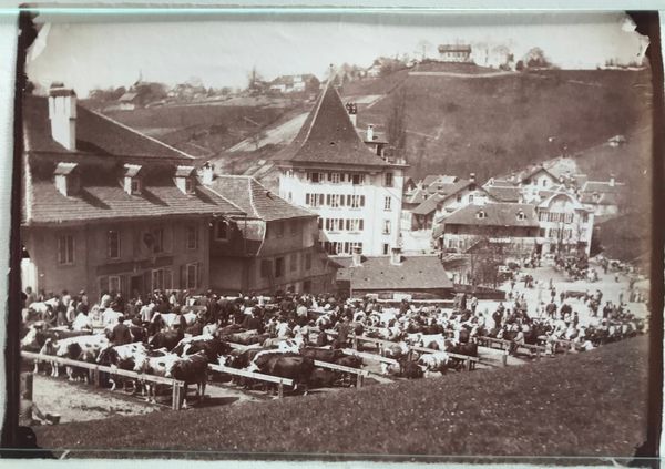 Produktbild Braun. Berne, le marché aux animaux.