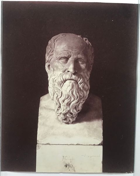 Produktbild Braun. Buste de Diogène.