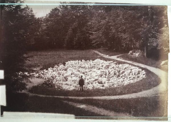 Productafbeelding Braun & Cie. Brunnen, ancien glacier près de l'Hôtel Axenstein.