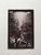 Product Braun & Cie. Gorge inférieure du Gorner. Suisse. thumbnail