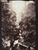 Product Braun & Cie. Gorge inférieure du Gorner. Suisse. thumbnail