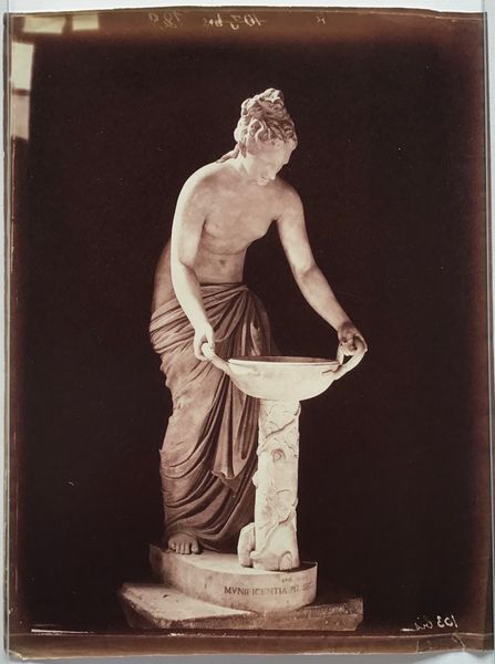 Produktbild Braun. Danaïde de face.