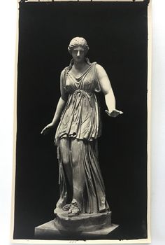 Illustration du produit