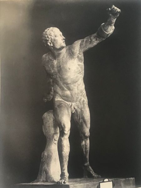 Produktbild Braun. Gladiateur combattant dit Gladiateur Borghèse.