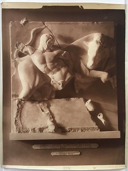 Produktbild Braun. Hercule et le taureau de Crète. Temple de Jupiter à Olympie