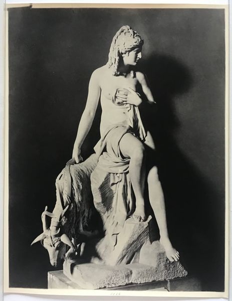Product image Braun. Pierre Julien. Amalthée.