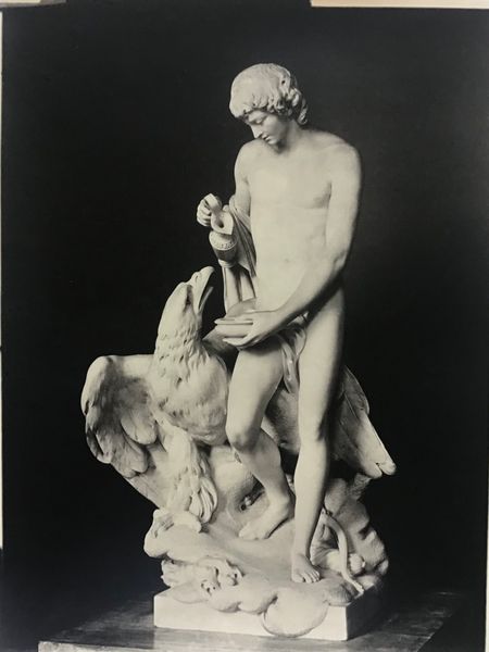 Productafbeelding Braun. Pierre Julien. Ganymède.