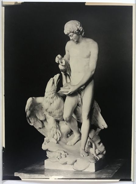 Productafbeelding Braun. Pierre Julien. Ganymède.