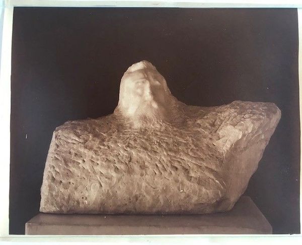 Productafbeelding Braun. Rodin. Puvis de Chavannes.
