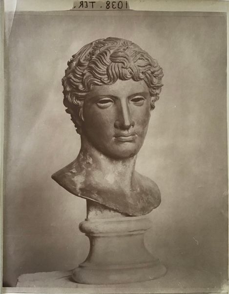 Image du produit Braun. Tête de jeune homme dite de Bénévent.