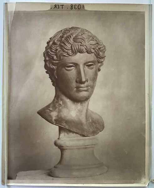 Image du produit Braun. Tête de jeune homme dite de Bénévent.