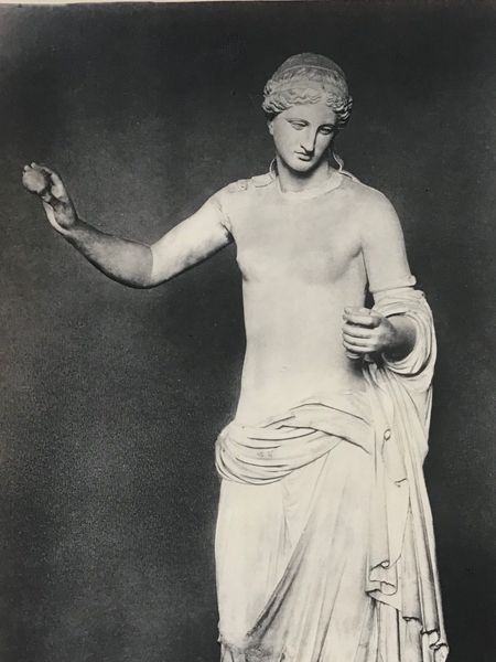Produktbild Braun. Vénus d'Arles.