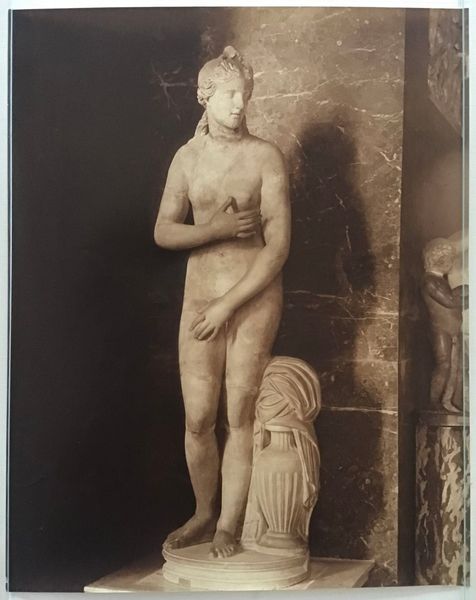 Image du produit Braun. Vénus, dans la pose de la Vénus du Capitole.